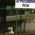 Napad psa u Sremčici uznemirio javnost, ko je odgovoran