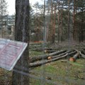 Alo! Otkriva: Ekološki fijasko u centru Divčibara Tužna slika posečene šume - da li je ovo bahatost ili neinformisanost…