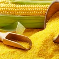 Švajcarci povlače sa tržišta kukuruzno brašno iz Srbije zbog mikotoksina fumonizin