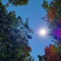 Ujutro sveže, tokom dana pretežno sunčano i toplo, do 31 stepen