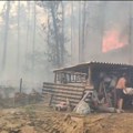 Požar u vikend naselju Vinci kod Golupca: Izgorelo 10 vikendica