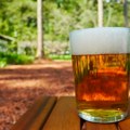Koliko je pena zaista bitna za savršen ukus piva? Stručnjaci daju odgovor