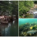 Plaže, bose noge i sonjine čari su atrakcija ovog leta: Nalaze se na najčistijoj reci u Srbiji! Nedaleko od njih i vodopad