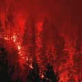 Šumski požar u Kataloniji: Vatra stigla do kuća, izgorelo oko 2.200 hektara zemljišta