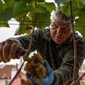 Do 2,5 miliona evra za inovacije u poljoprivredi i proizvodnji hrane