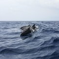 Povratak delfina u Boku Kotorsku obradovao turiste i meštane (video)