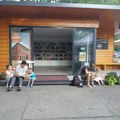 Program „Lice umetnika“ i razgovor sa pesnikinjom Anastasijom Šćepanović večeras u Biblioteci na Štrandu