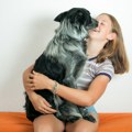 Ovo su četiri najpametnije rase pasa – koja je vaš favorit?