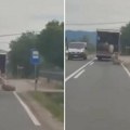 Drama kod Kruševca: Ovce ispadale iz kamiona u pokretu (video)