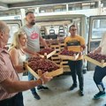 Lokalna samouprava grada Leskovca 10. juna 2026. godine donirala je rane majske trešnje leskovačkom Udruženju penzionera starih…