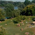 Za sve koji traže osveženje! Ovo je srpsko „more“ na Tisi za koje malo ko zna