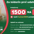 Prelepu Isidoru priklještio viljuškar i okovao je za krevet: Sada ide u Nemačku na lečenje