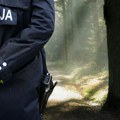 Dve godine varao na posečenim stablima: Uhapšen muškarac iz Sjenice