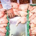 Velika razlika u cenama piletine na pijacama u Srbiji