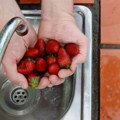 Na jagodama pesticidi, bakterije i jaja parazita: Nije dovoljno pranje vodom, zapamtite dva pravila