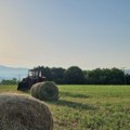 Grom jednog ubio a drugog povredio Ljudi plastili seno kada je krenulo nevreme
