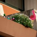 Beograđani, terasa i dvorište mogu vam doneti nagradu! Evo kako da se prijavite na konkurs i koje opštine učestvuju u…
