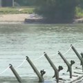 Ponovo se može do Lida: Hladno za kupanje, na pontonskom mostu tek poneki pecaroš
