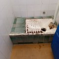 Merošina iza ogledala: istorija za ponavljake