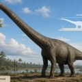 Na Tajlandu otkriven novi dinosaurus sa vratom dugim kao teren za kriket