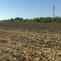 Suša otežava jesenju setvu: Poljoprivrednici čekaju kišu, ali rokovi se približavaju