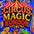 Cirkus „Magic Kondor“ stiže u Zaječar!