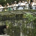 Medved koji maše posetiocima zoo vrta u Kini probudio sumnje: Da li je reč o zveri ili dobro maskiranom čoveku?