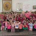 Jučerašnji dan je u osnovnoj školi „Jovan Jovanović Zmaj“ obojen u roze i nosi snažnu poruku: Ne želimo nasilje…
