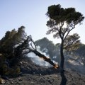 Gori na grčkim ostrvima: Požari divljaju, naređena evakuacija: "Uputite se na plažu"