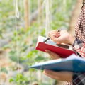 Prijave na NLB Organic konkurs u oblasti organske proizvodnje do 31. maja