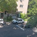 Pravi letnji junski dan, temperatura do 34 stepena