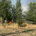 Požar sa desne strane Vatinskog puta iz pravca Vršca, gašenje u toku (VIDEO)