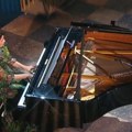 „Muzika femina” u Palati umetnosti „Madlena”