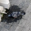 U Srbiji danas 42 stepena, RHMZ upozorava na rizike od požara