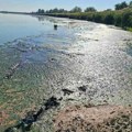 Tužne slike: Jezero zbog suše ostalo bez dotoka vode, živi svet se guši FOTO