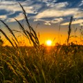 RHMZ najavio tropske dane, temperature iznad 30 stepeni