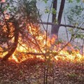 Požar iznad Kraljeva, gori šuma i nisko rastinje