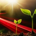 Strateški partner poljoprivrednika u Srbiji: ALTA banka nagrađena za najbrži rast u agraru