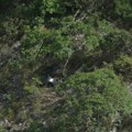 Ovo je helikopter koji se srušio kod Drniša: Pronađeni ostaci letelice