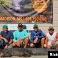 Ulovljen najduži aligator u Americi