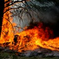Enormno povećanje požara na otvorenom u Srbiji! Od početka februara 1.492 požara naspram 226 u istom periodu u 2023.