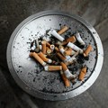 Svetski dan bez duvanskog dima, duvan: Pretnja našoj životnoj sredini. Da li ste za zabranu pušenja na svim javnim mestima…