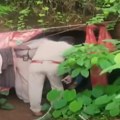 VIDEO: Ruskinja sa dvoje male dece dve nedelje živela u pećini u Indiji