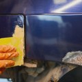 Одлив занатлија: Проблематичан тренд у Србији