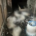 Pravi horor u selu kod Čačka! Domaćin zatekao stravičan prizor u kokošinjcu, poznato kako je nastao pokolj
