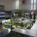 Београдски акваријум већ постоји, али изгледа да српским властима то нико није јавио: Држе животиње у простору који је у…