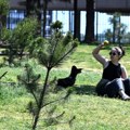 Promenljivo oblačno sa sunčanim intervalima, uveče pljuskovi