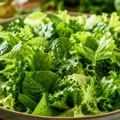Jasni znaci koje ne smete ignorisati! Evo kako prepoznati pravi trenutak kada je zelena salata spremna za berbu