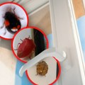 Poprskajte mešavinu ova dva jeftina sastojka na ulazna vrata i prozore i gledajte kako bube nestaju u jednom danu