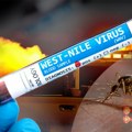 Virus Zapadnog Nila hara Evropom: Više od 240 slučajeva, prvi oboleli u Srbiji - ove grupe su posebno ugrožene